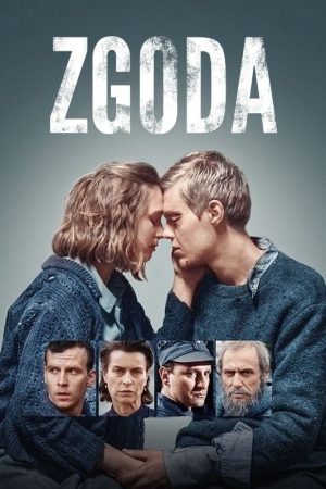 Poster phim Sự hòa giải