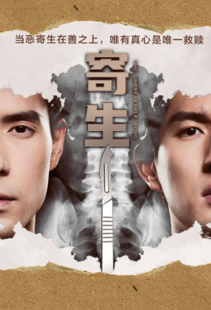 Poster phim Sứ Mệnh Tái Sinh