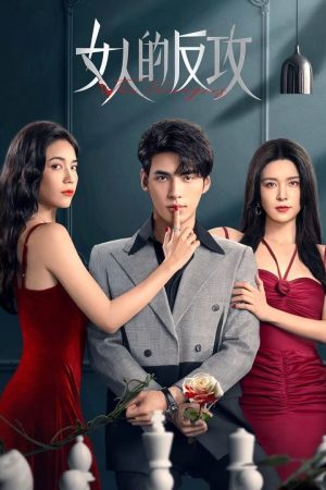 Poster phim Sự Phản Công Của Phụ Nữ