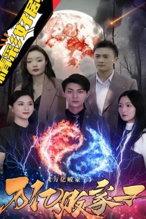 Poster phim Sự Trả Thù Của Thiếu Gia Hư Hỏng