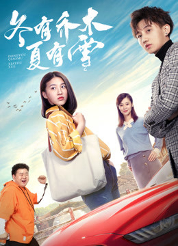 Poster phim Summer’s Love Winter’s Kiss