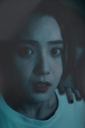 Poster phim Sương Mù: Cô Ấy Biến Mất