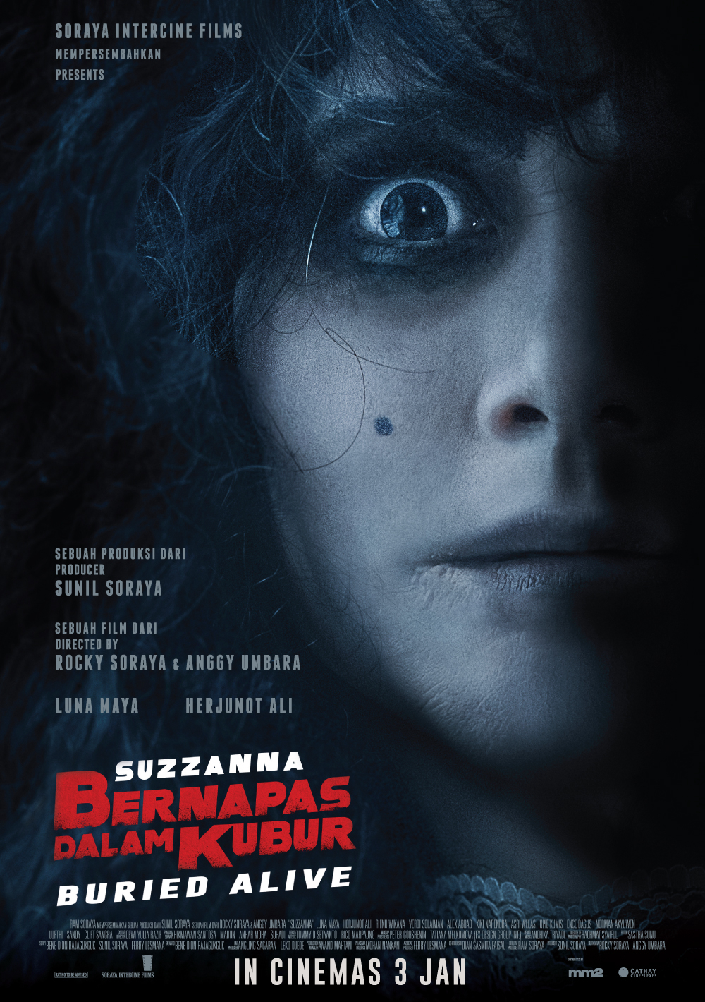 Poster phim Suzzanna: Chôn sống
