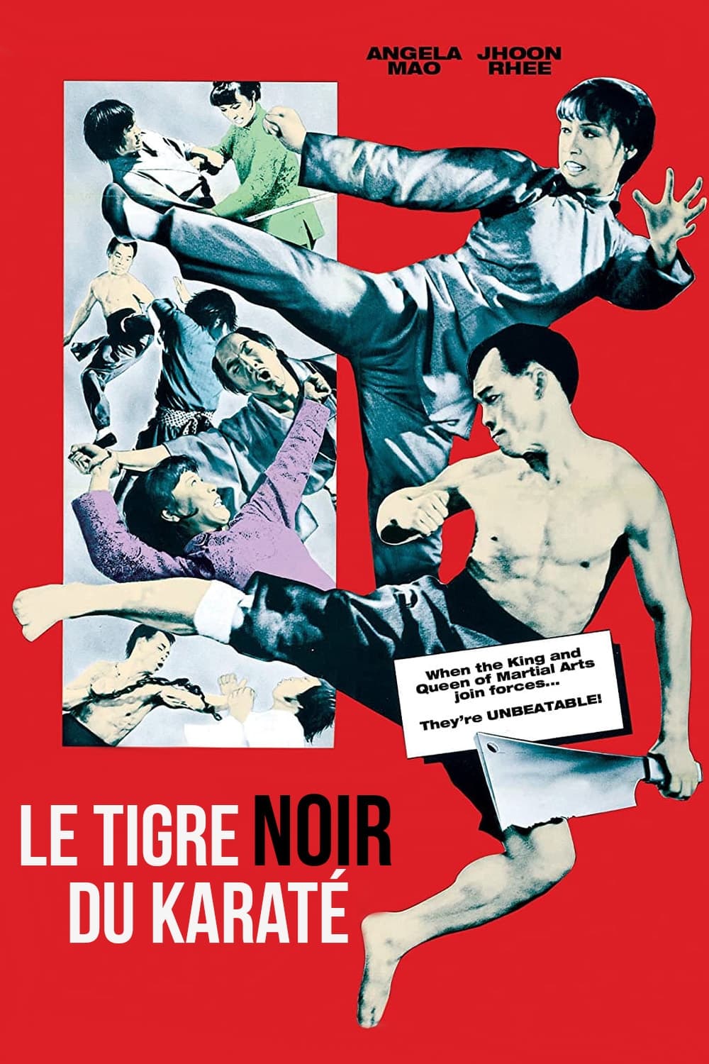 Poster phim Taekwondo  Chấn Cửu Châu