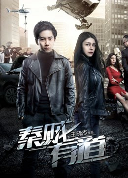 Poster phim Tần tặc hữu đạo