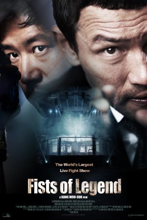 Poster phim Võ Thuật Quyền Sư 2013
