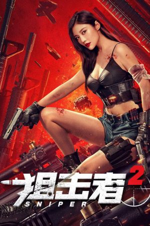 Poster phim Tay Súng Bắn Tỉa 2