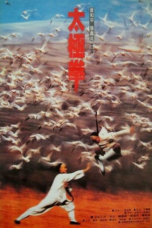 Poster phim Thái Cực Quyền 2