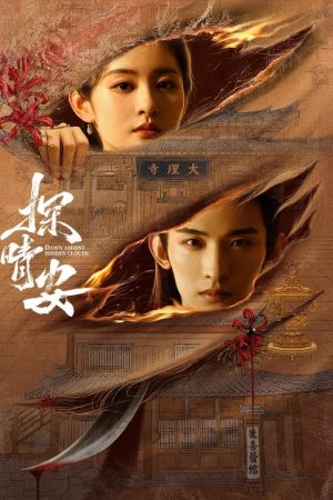 Poster phim Thám Tình An