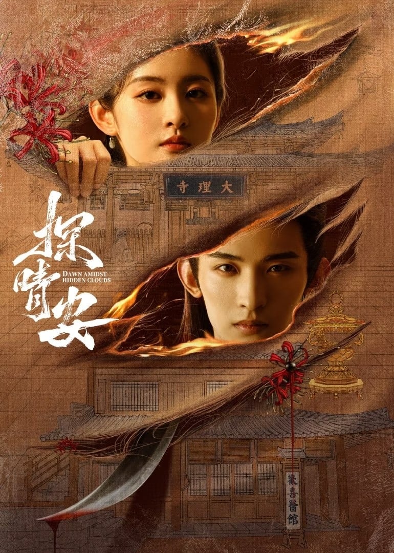 Poster phim Thám Tình An