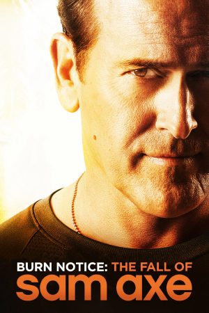 Poster phim Thất Bại Của Sam Axe