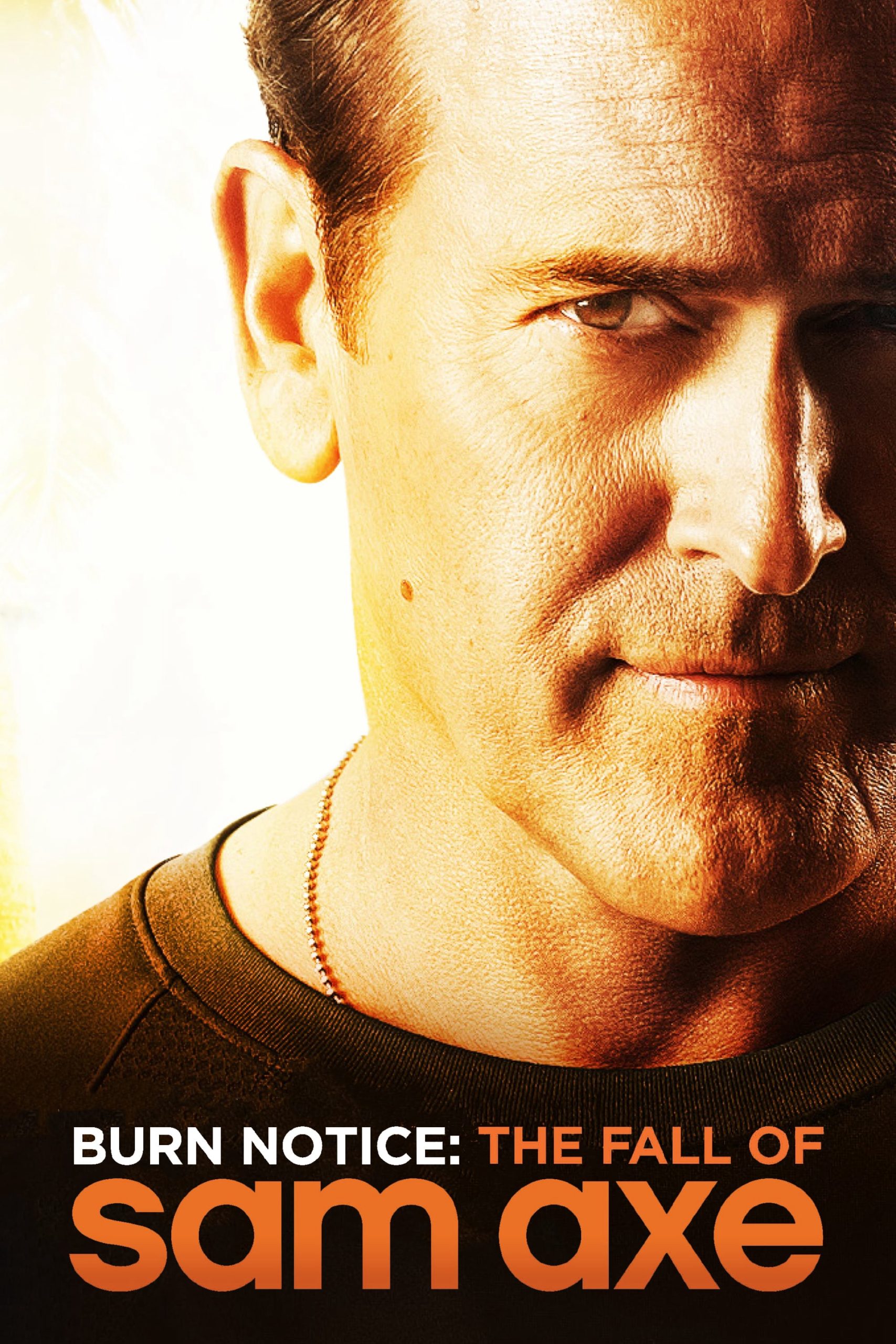 Poster phim Thất Bại Của Sam Axe