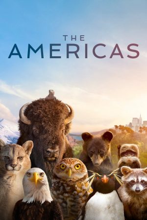 Poster phim The Americas