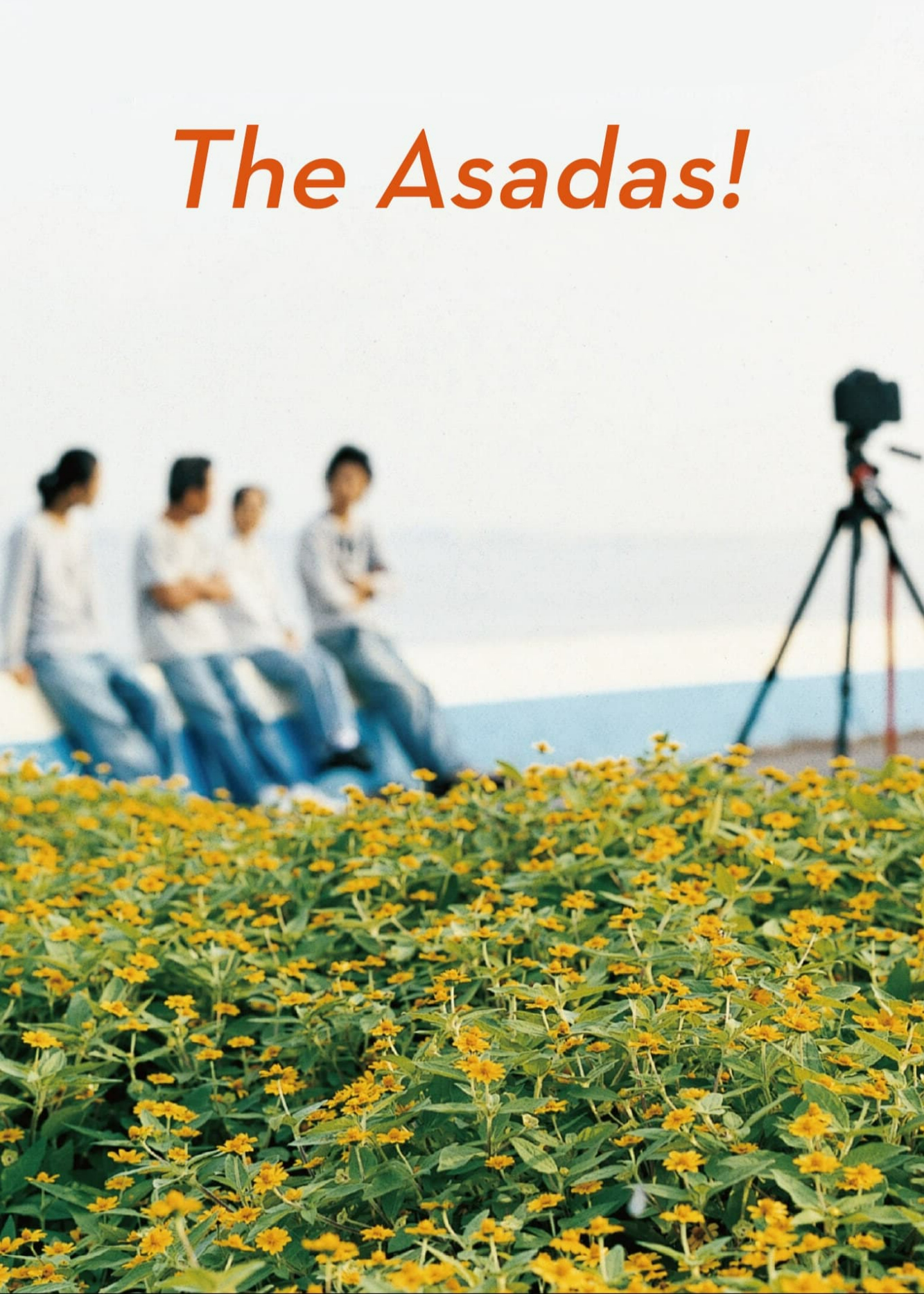 Poster phim The Asadas