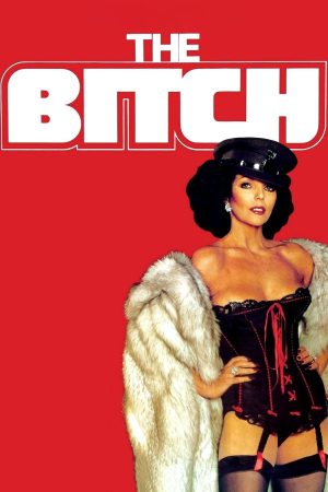 Poster phim The Bitch