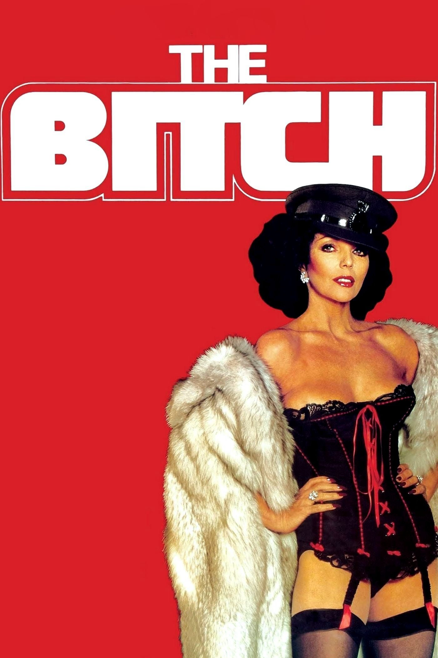 Poster phim The Bitch