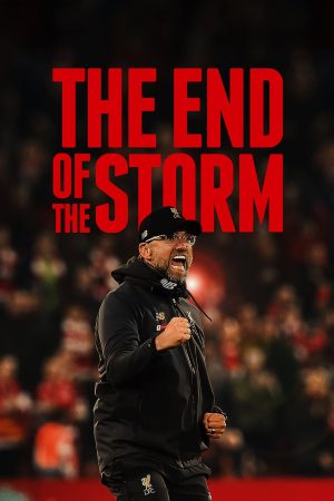 Poster phim The End of the Storm