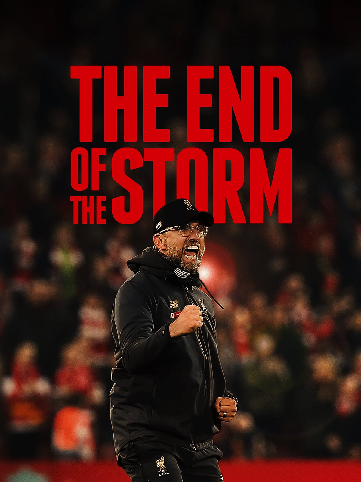 Poster phim The End of the Storm