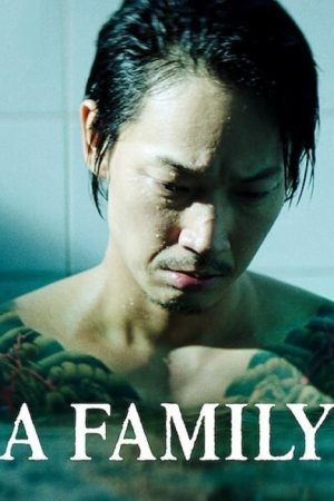 Poster phim The Family