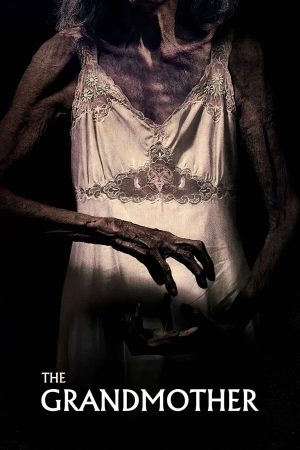 Poster phim The Grandmother
