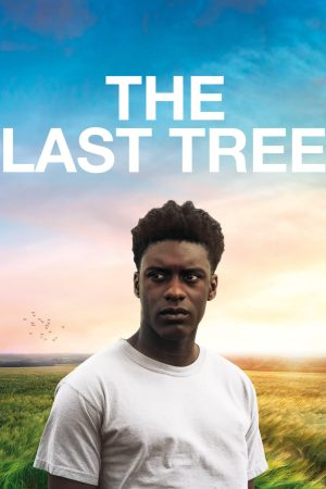 Poster phim The Last Tree