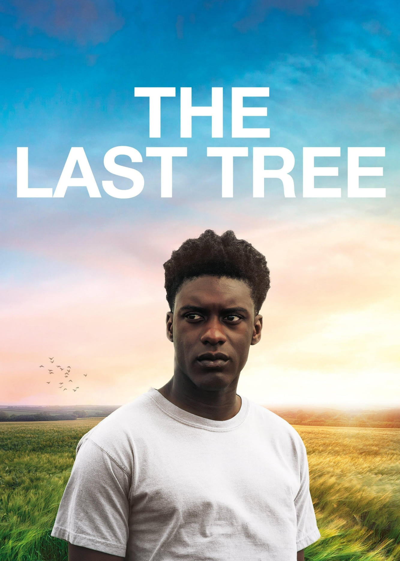 Poster phim The Last Tree