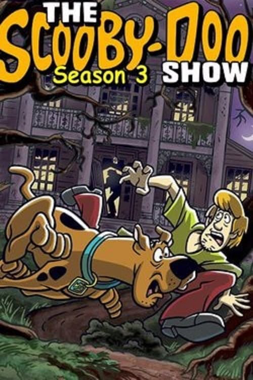 Poster phim The Scooby-Doo Show (Phần 1)