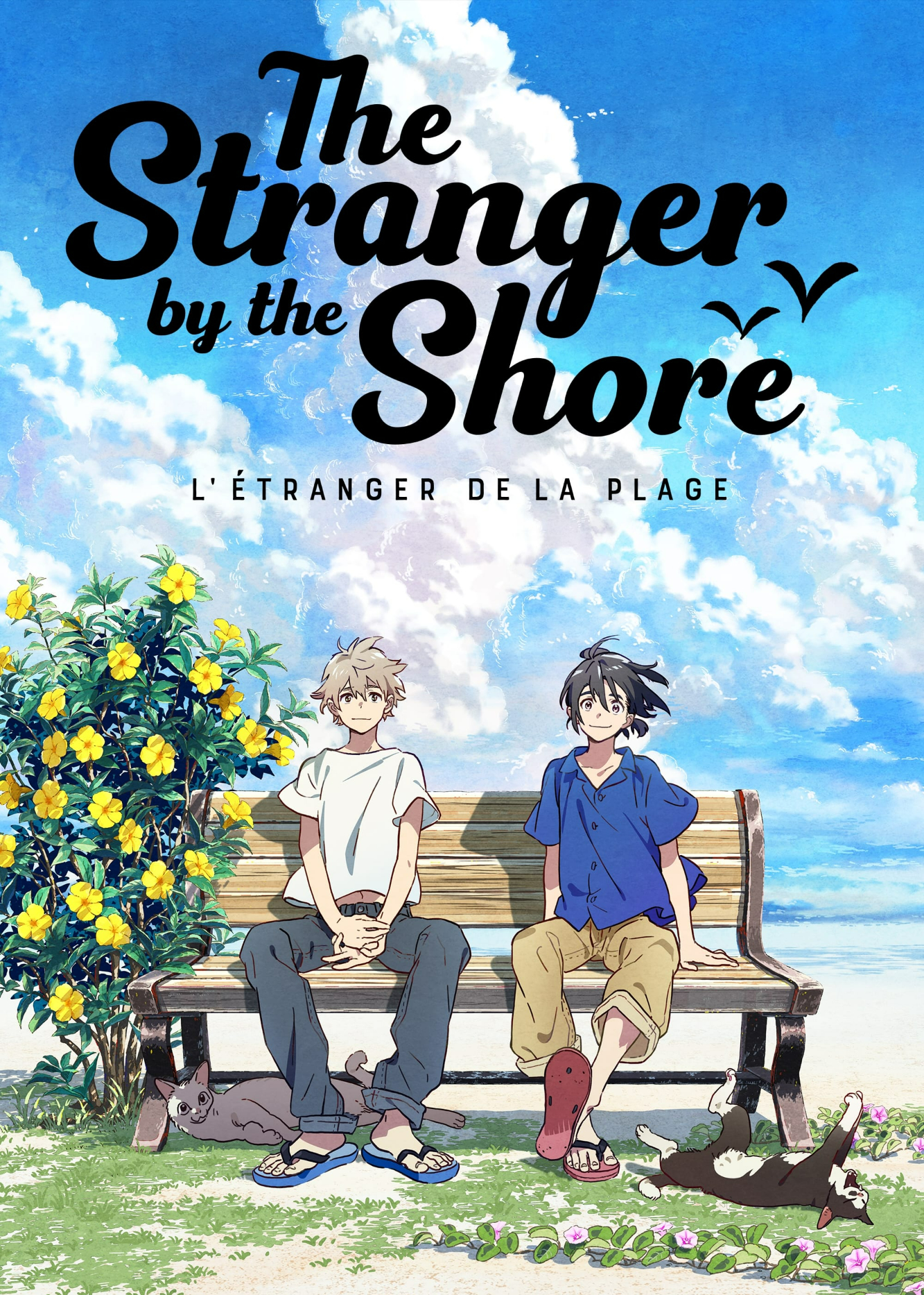 Poster phim The Stranger by the Beach