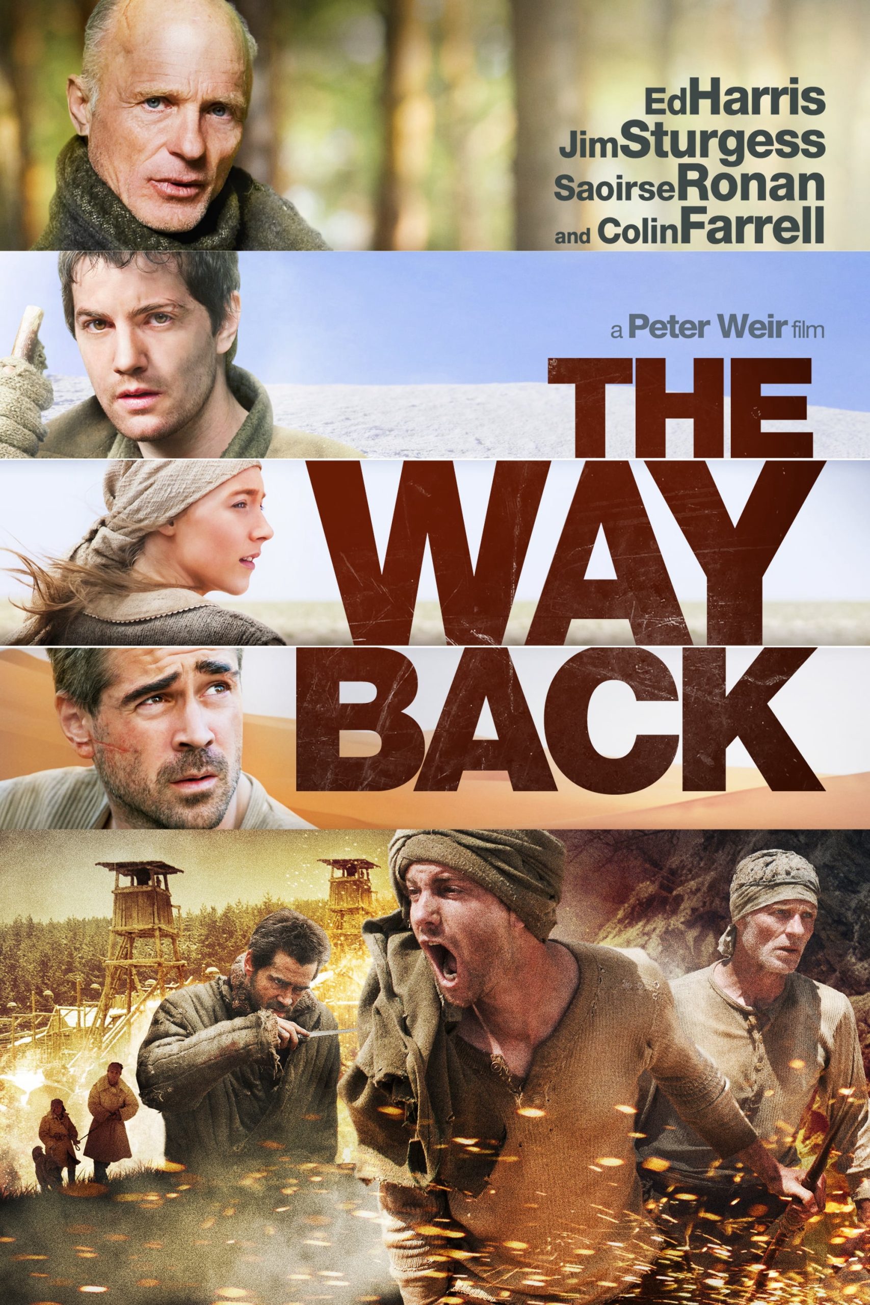 Poster phim The Way Back