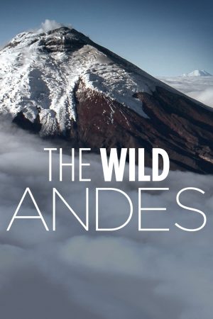 Poster phim The Wild Andes