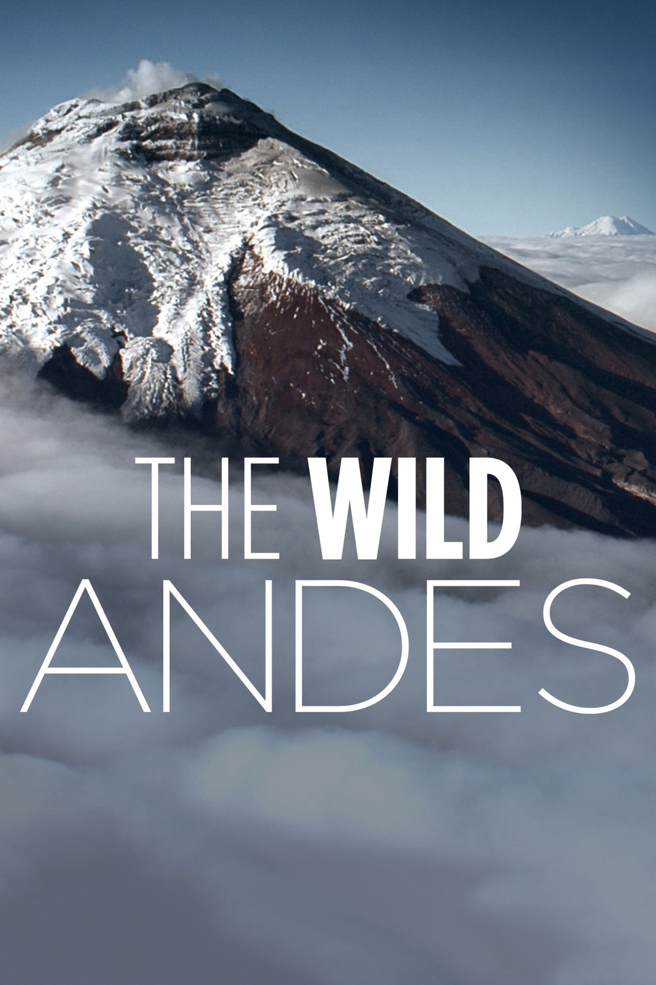 Poster phim The Wild Andes