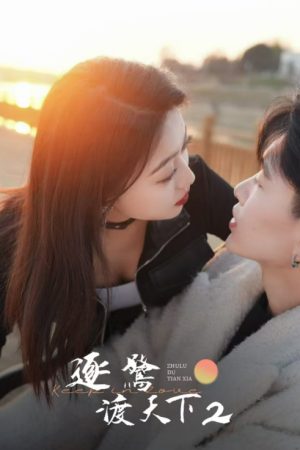 Poster phim Theo Đuổi Giấc Mơ Khắp Thế Gian 2