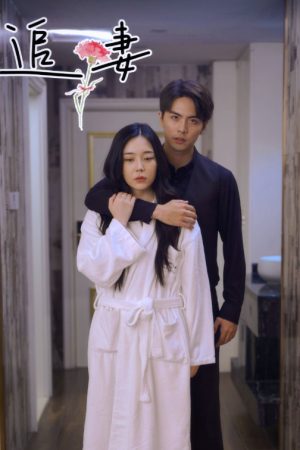 Poster phim Theo Đuổi Vợ Tôi