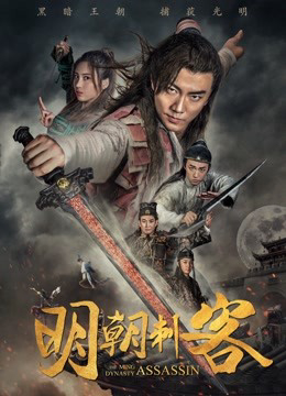 Poster phim Thích khách triều Minh