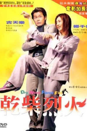 Poster phim Thiện Nam Võ Nữ
