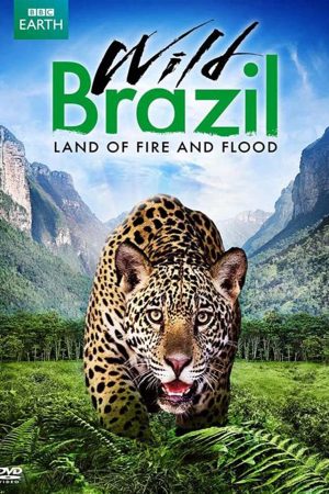 Poster phim Thiên Nhiên Brazil Hoang Dã