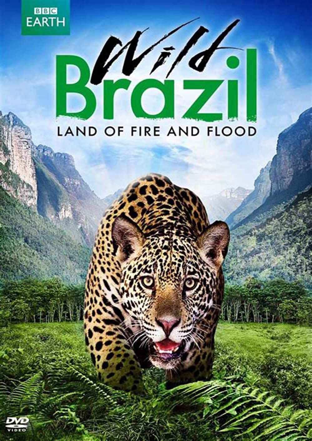Poster phim Thiên Nhiên Brazil Hoang Dã
