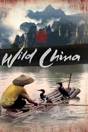 Poster phim Thiên Nhiên Hoang Dã Trung Quốc