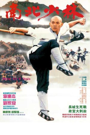 Poster phim Thiếu Lâm Tự 3: Nam Bắc Thiếu Lâm