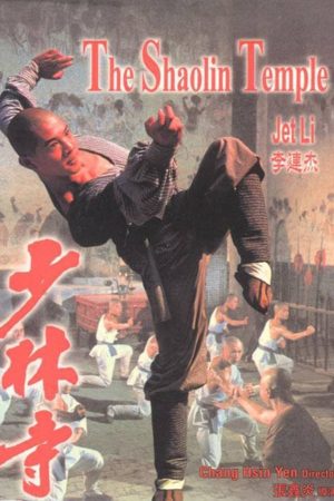 Poster phim Thiếu Lâm Tự