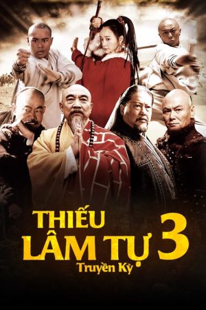 Poster phim Thiếu Lâm Tự Truyền Kỳ (Phần 3)