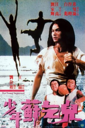 Poster phim Thiếu Niên Tô Khất Nhi