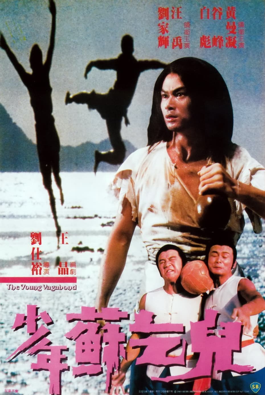 Poster phim Thiếu Niên Tô Khất Nhi