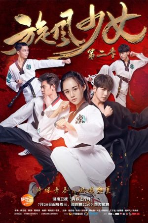 Poster phim Thiếu Nữ Toàn Phong 2