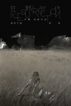 Poster phim Thời Đại Cuồng Dã