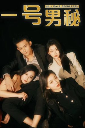 Poster phim Thư Ký Nam Số Một