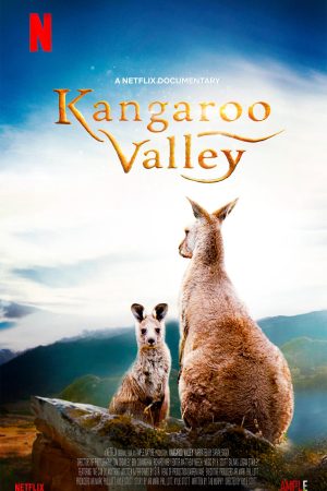 Poster phim Thung lũng kangaroo
