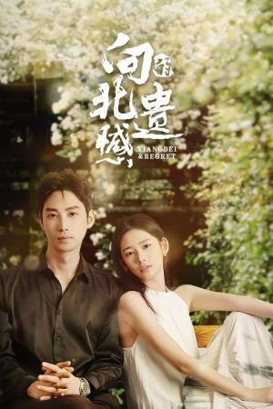 Poster phim Tiếc Nuối Của Hướng Bắc