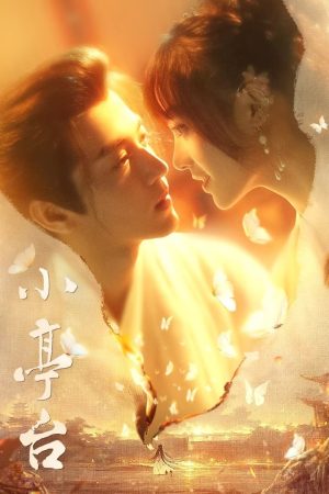 Poster phim Tiểu Đình Đài