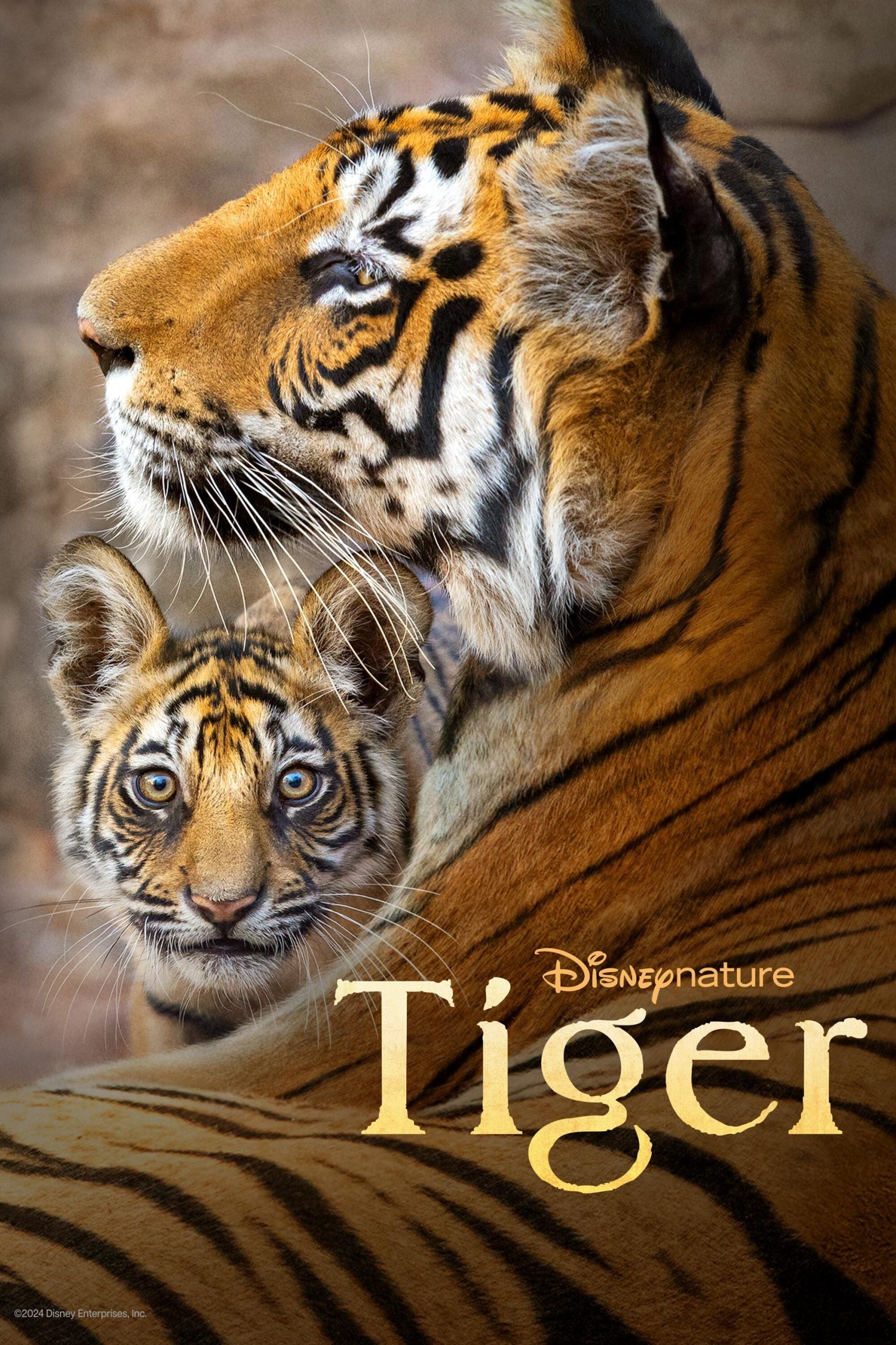 Poster phim Tiger
